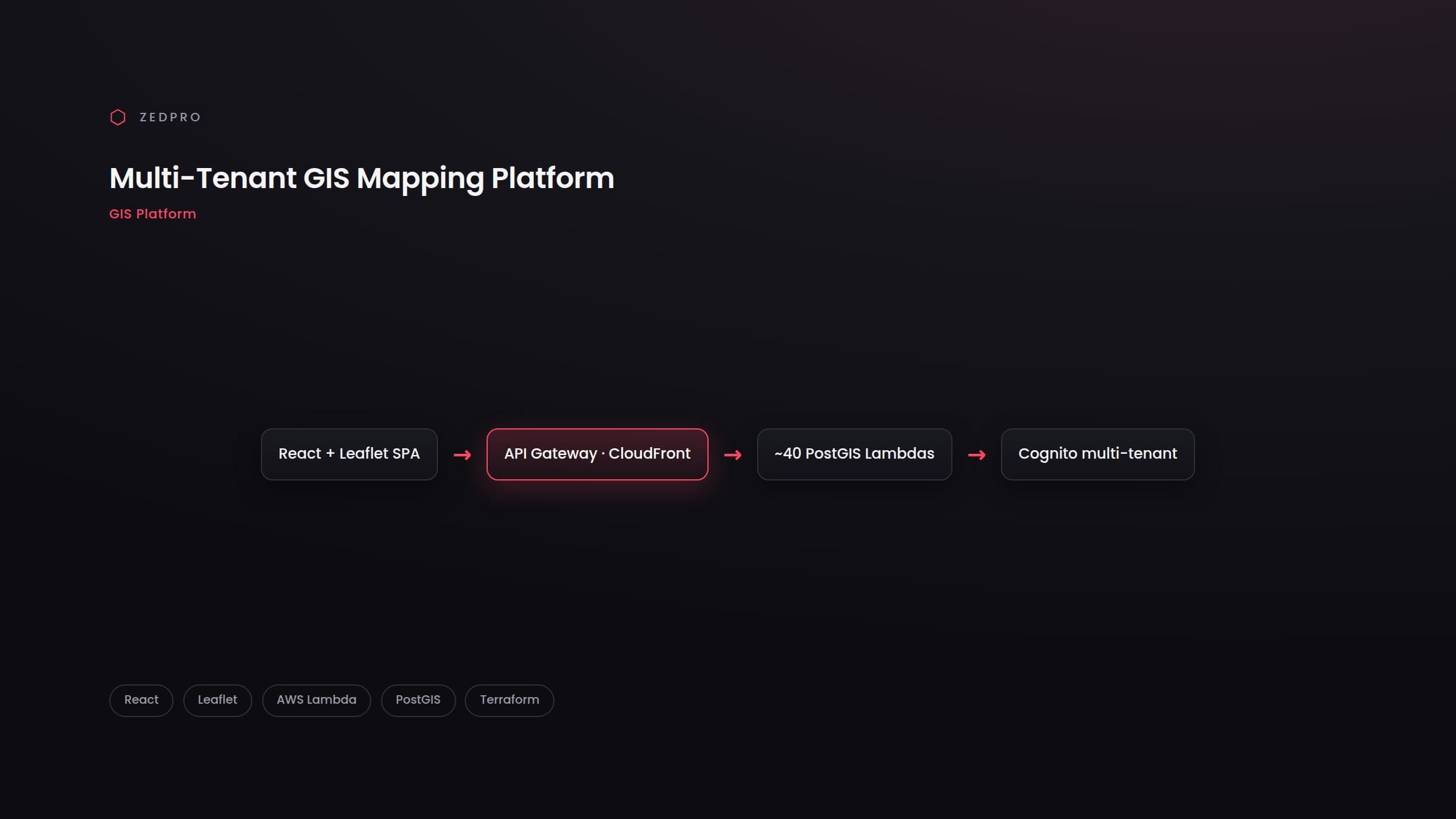 Multi-Tenant GIS Mapping Platform — project visual