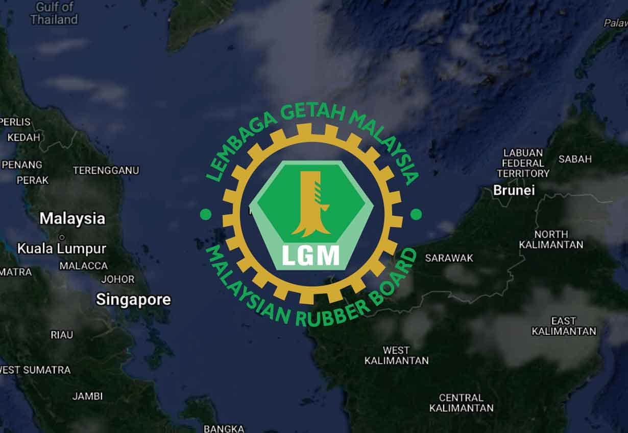 LGM ArcGIS Enterprise Deployment project screenshot