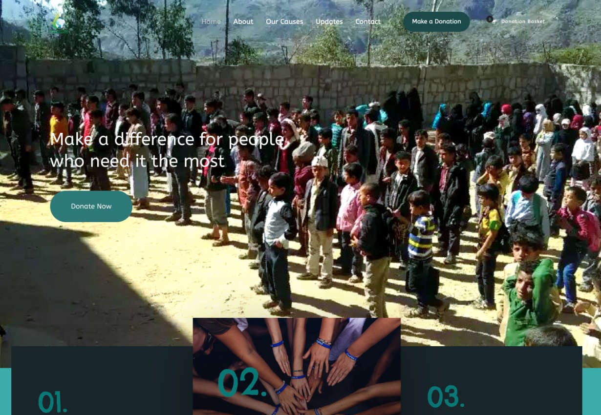 HopeSpring Foundation project screenshot
